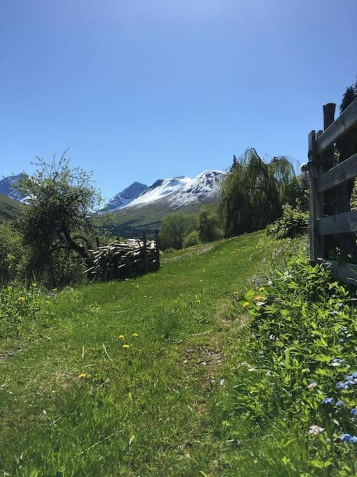 Moonvalley Lodge - Stort & Koselig Hus - Mandalen Dış mekan fotoğraf