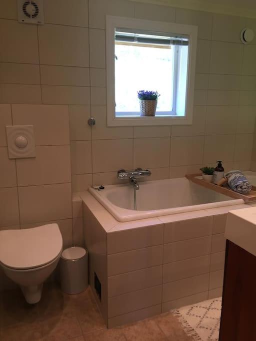 Moonvalley Lodge - Stort & Koselig Hus - Mandalen Dış mekan fotoğraf