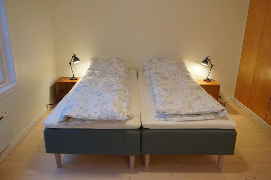 Moonvalley Lodge - Stort & Koselig Hus - Mandalen Dış mekan fotoğraf