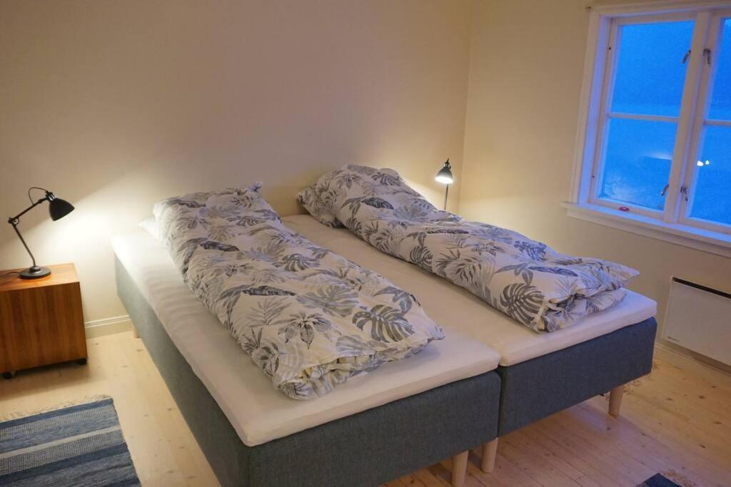 Moonvalley Lodge - Stort & Koselig Hus - Mandalen Dış mekan fotoğraf